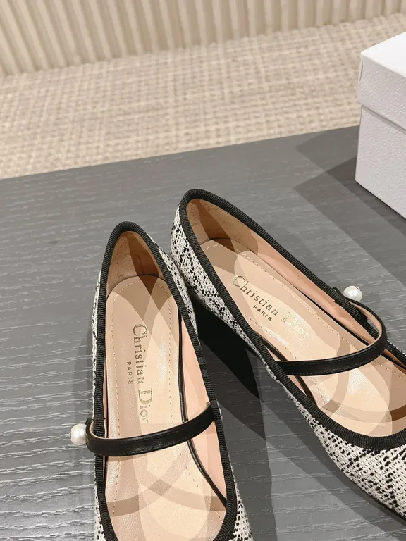 Dior Shoe 